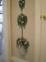  Flowers Topiary